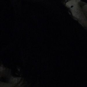 Meet your Posher, Yolanda